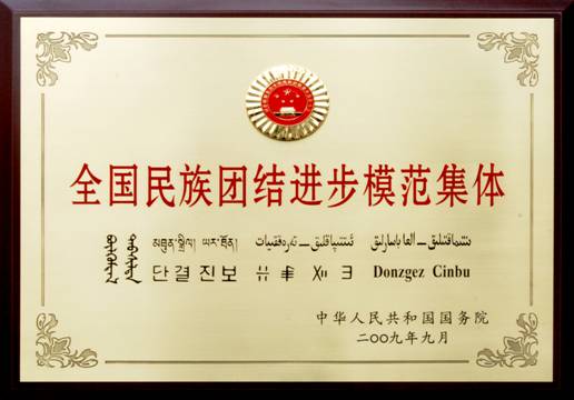 全国民族团结进步模范集体