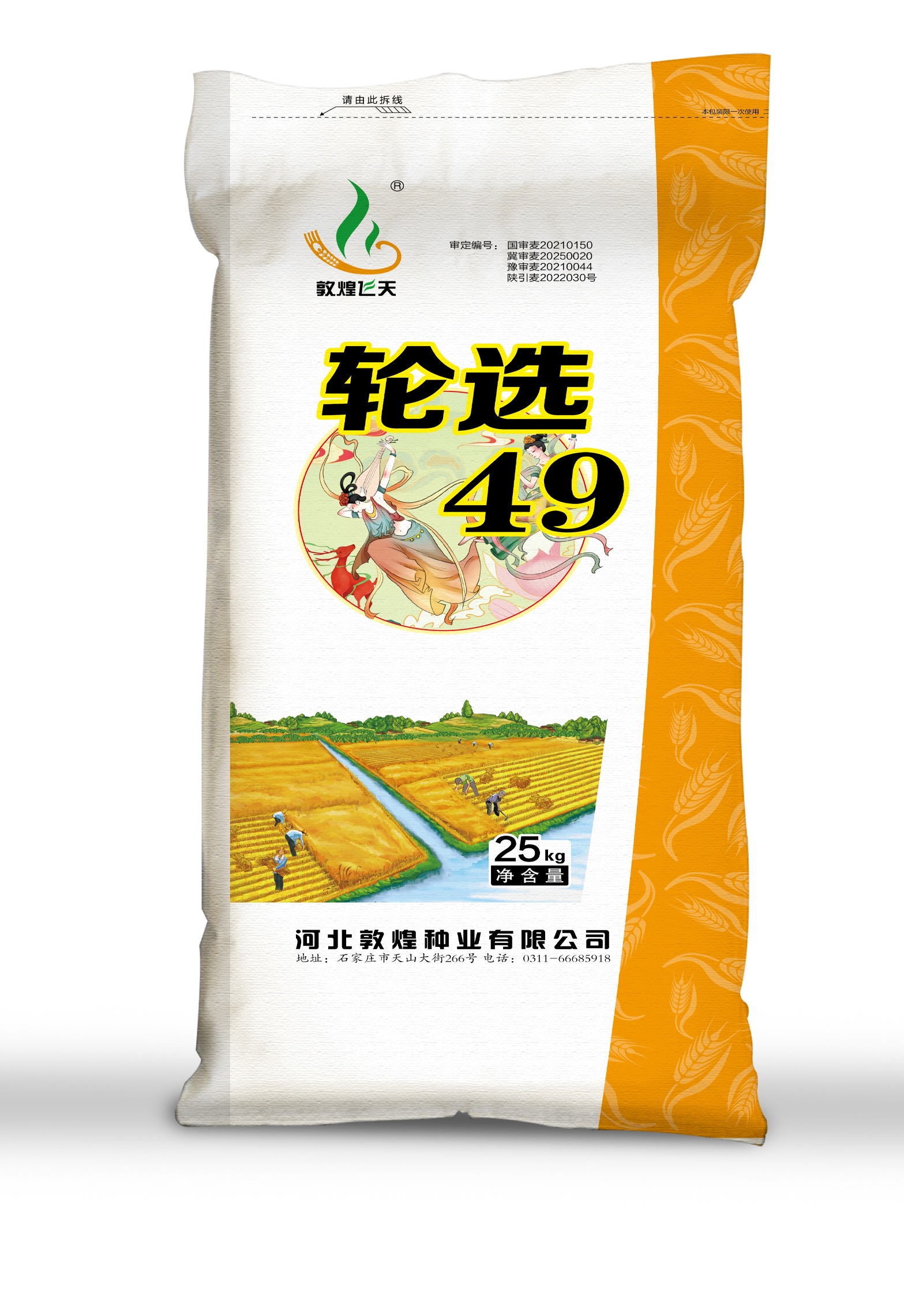 小麦种子