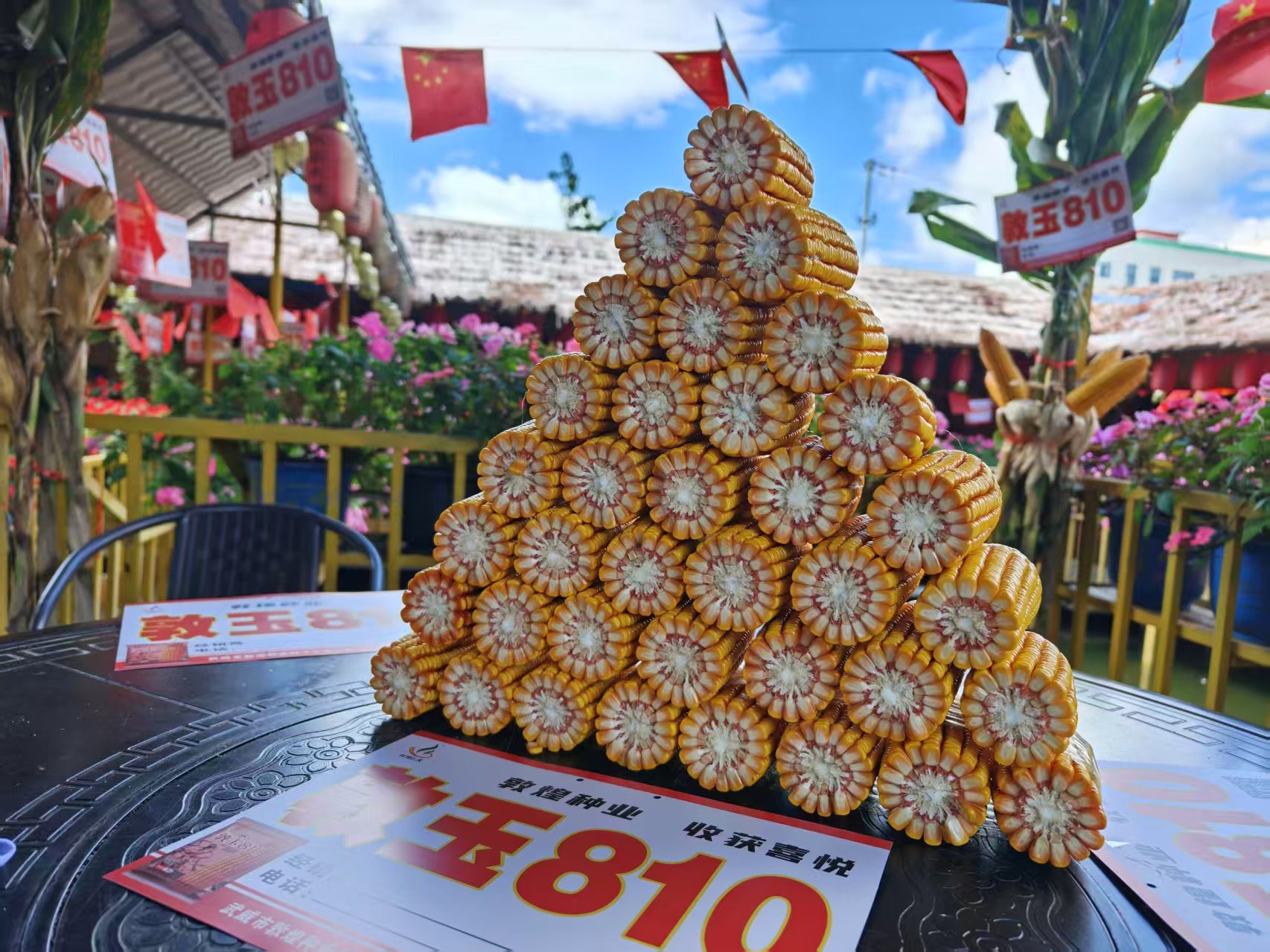敦玉810